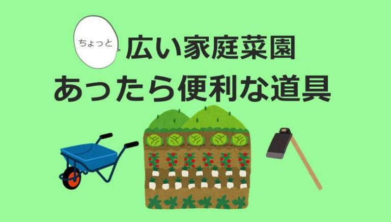 家庭菜園で私が使ってる道具 小さい畑で使える便利アイテムご紹介 そだてるブログ