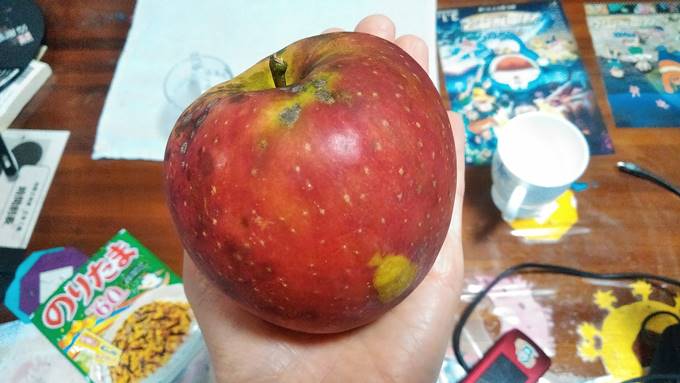 りんごは無農薬では難しい りんご栽培を家庭でやってみた結果こうなった そだてるブログ