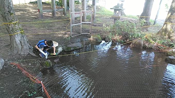 ニジマスの池