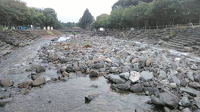 近所の公園の川