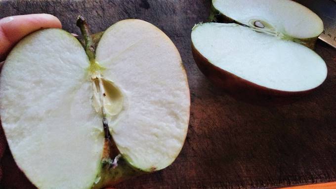 りんごは無農薬では難しい りんご栽培を家庭でやってみた結果こうなった そだてるブログ