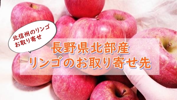 長野産おいしいリンゴがお取り寄せできるところ！おすすめは北信州産 | そだてるブログ